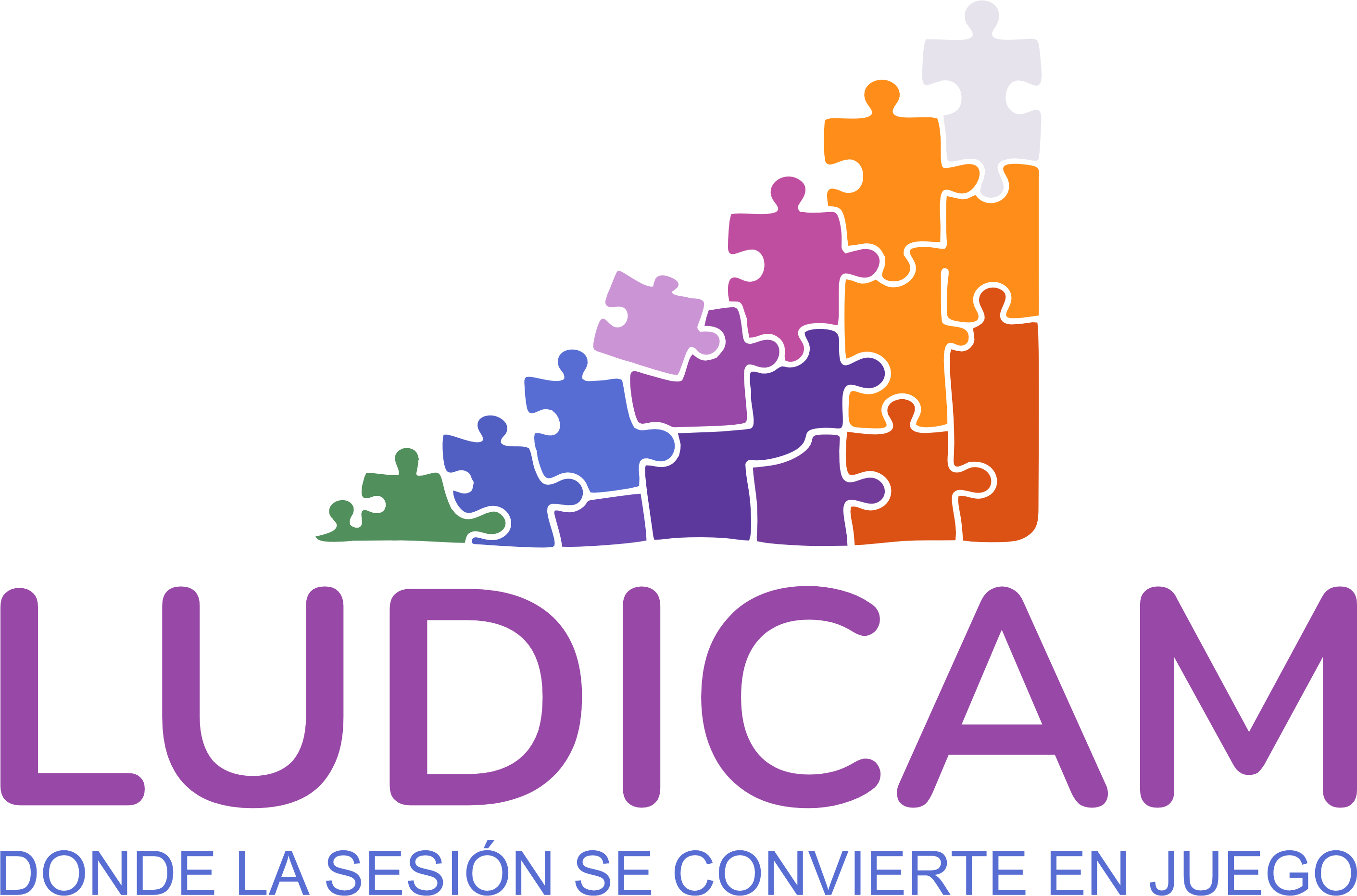 Ludicam